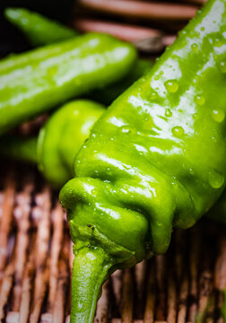 2019 Waddesdon Manor Chilli Festival