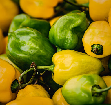 Hot chilli peppers at a chilli festival.