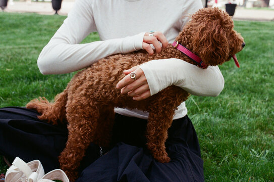 Anonymous owner petting her poodle