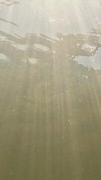 Bright sunlight rays pierce a calm water surface viewed from underwater below, scattering downward as camera slowly rotates toward the glowing surface with soft ripples above.
