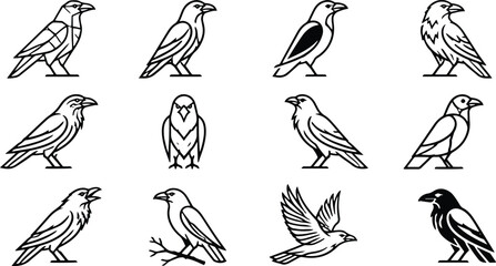 Obraz premium Set of black and white crow and raven icons