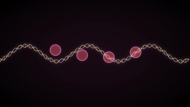 DNA Double Helix Chromatin Supercoiling Histone Octamer 4K Loop