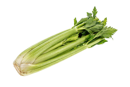 Fresh green celery stalks with vibrant leaves arranged diagonally isolated on a transparent background