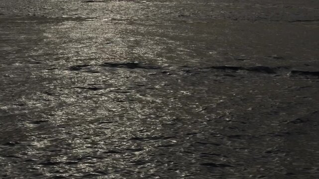 Dynamic sea surface with golden sun reflections and moving water ripples