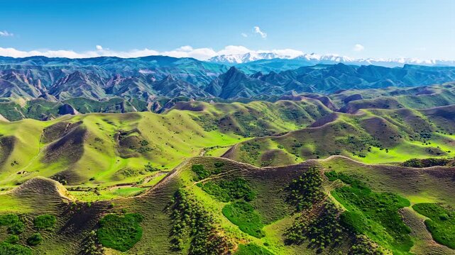 Aerial view of sunlit green hills and rugged ridges, with snow-covered mountains beneath a clear blue sky in the background.