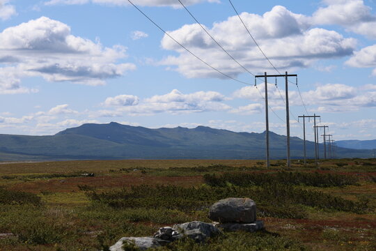 Alpine plateau at Flatruet with wooden utility poles and power lines on a sunny summer day