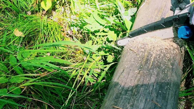 Chainsaw cutting old wooden log lying on green grass. Close-up of saw blade sawing timber with flying sawdust. Gardening and firewood preparation concept.