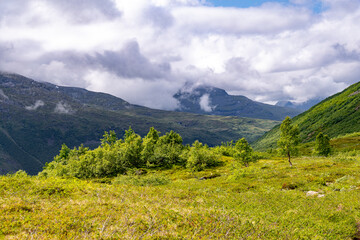 Fototapeta premium A lush green mountain valley near Herdal. A seasonal scenery of Hercal valley in World Heritage area in Western Norway.