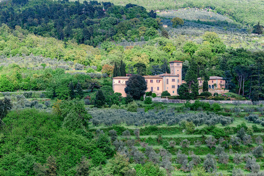 Stunning view of rolling hills with olive groves and historic buildings in Tuscany, Italy