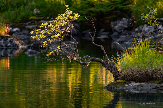 A beautiful, calm mountain lake with turquoise water and sun flares in a lush green valley. A seasonal scenery of Hercal valley in World Heritage area in Western Norway.