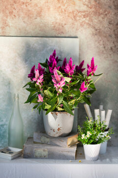 Flowers in a vase