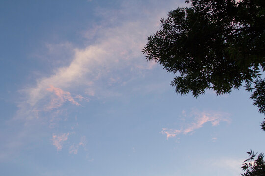 Sunset Sky Over Rural Moldova with Utility Wires and Silhouetted Trees