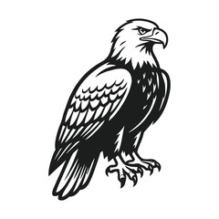 Fototapeta premium Black and white ink style illustration of a perched bald eagle with bird of prey