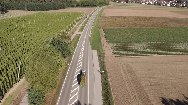 Fly over a Hop field in Bavaria during harvest season after summer time