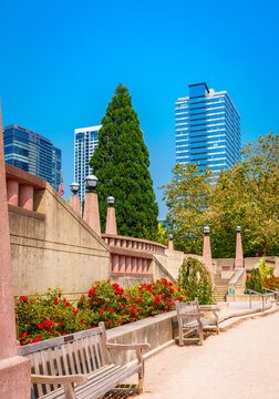 Walkway At Bellevue Park 4
