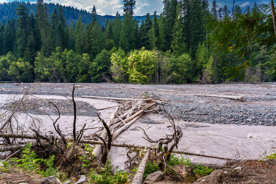White River Logs 2