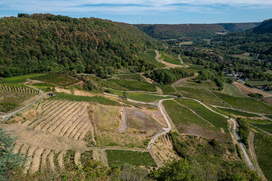 Panorama sur le vignoble et la reculee depuis Chateau Chalon