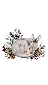 Whimsical Watercolor Painting of a Sleeping Baby Kangarooed with Rustic Pinecones and Berries