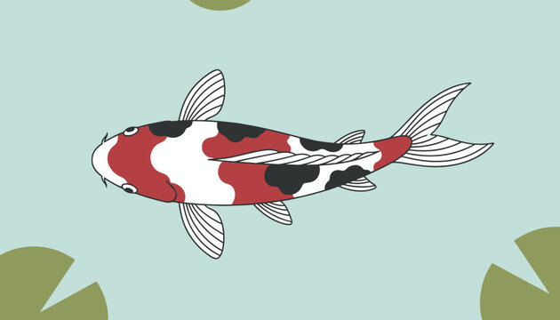 Top view of a colorful koi carp fish with red, white, and black patterns swimming between large green lily pads.
