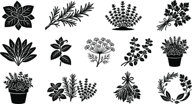 Fresh kitchen culinary herbs and garden cooking spices black vector silhouettes set including rosemary basil parsley potted bunch wreath isolated on white background illustration,
