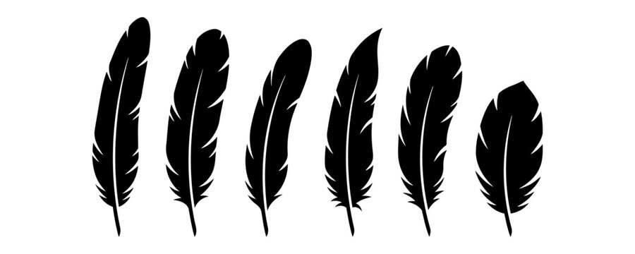 Black feather silhouettes, set of 6 bird feather icons. Minimalist quill vector graphics for logo design and decorative branding.