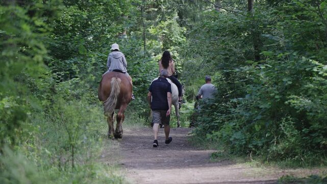 A group of people are riding a horses down a path with trainer following them. The horses are brown and white