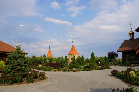 Blooming green plants and trees in the park. Landscaped garden.