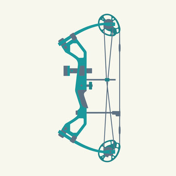 Professional compound bow for an archer or hunting enthusiast