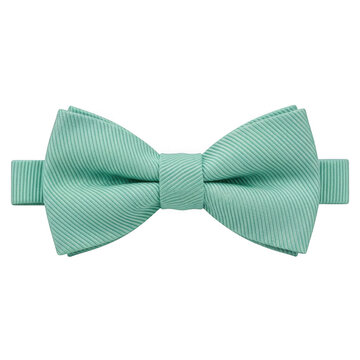 Elegant light green bow tie with a textured fabric pattern isolated on transparent background