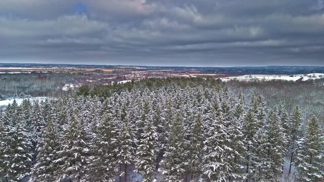 Dramatic Sky Flying Over Snow Covered Pines