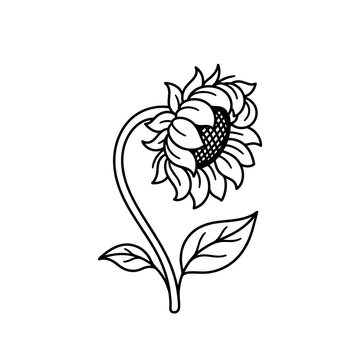 Elegant Blackline Illustration of a Sunflower Plant with Leaf Details.