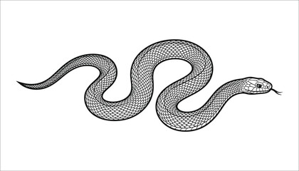 Fototapeta premium Sinuous snake illustration in black and white ink sketch style with ink drawing
