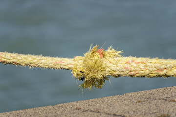 Close-up of a frayed yellow rope with a knot against a blurred blue background © Levente Varga