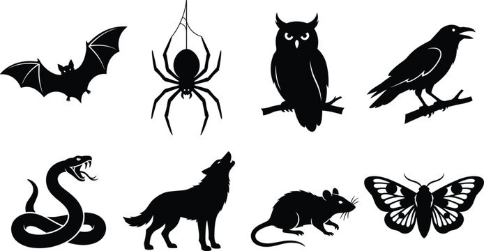 "Nocturnal animal silhouette vector illustrations of bat owl crow wolf spider snake rat and moth"