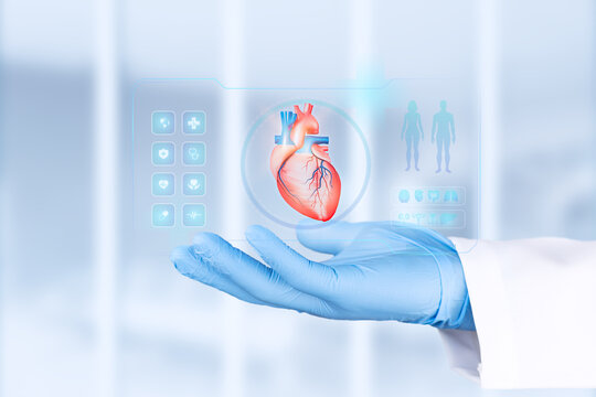 A doctor's hand, gloved in light blue, examines a chart of the human heart. Concept of cardiology, pathology, and cardiovascular disease screening. Bokeh background. Isolated.