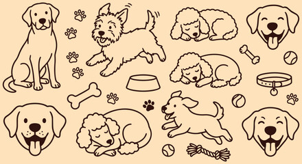 Obraz premium Dog breed vector doodle collection with golden retriever terrier and poodle in sitting running sleeping and playing poses with bone ball and paw print line art elements