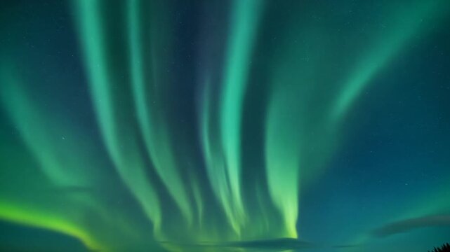 Vibrant Green Aurora Borealis Dancing in the Night Sky Over Arctic Landscape