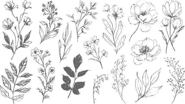 Floral Seamless Background, Repeating Flowers and Leaves with Organic Design.
