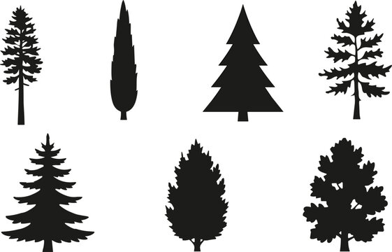 Collection of Tree Silhouettes Featuring Diverse Natural and Stylized Botanical Shapes for Design Use