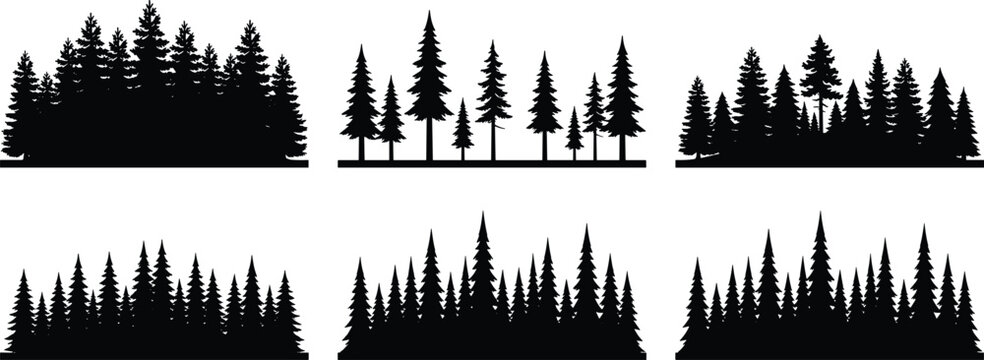Set of Coniferous Tree Cluster Silhouettes Showing Diverse Forest Arrangements and Natural Shapes