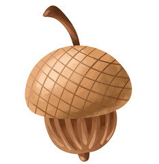 Textured oak nut element with detailed cap shading. Hand drawn watercolor style acorn isolated on white background for warm seasonal Thanksgiving layouts © Vitalii