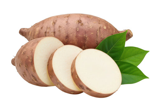 A group of taro roots and slices are displayed on transparent background