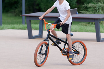 Fototapeta premium Cropped view of young BMX rider balancing on a black bicycle in a city park, suitable for cycling, fitness and active lifestyle themes Photo
