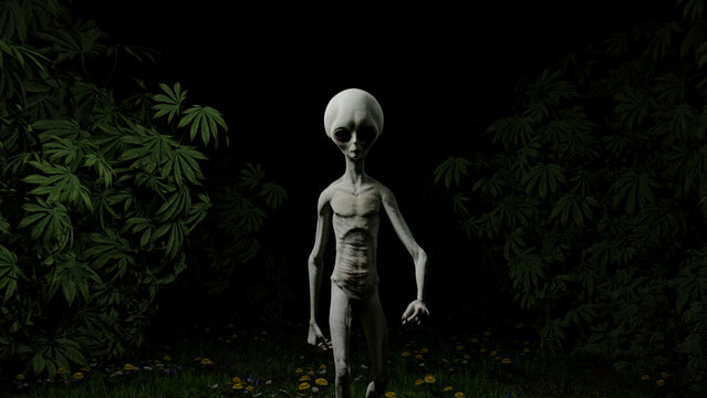 Grey alien standing in a dark forest clearing, created for extraterrestrial encounters, science fiction, paranormal mystery, eerie woodland scenes and imaginative surreal concept art
