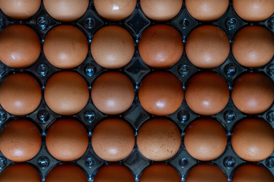 Brown eggs in a container 