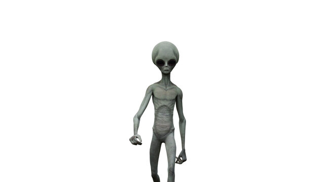Grey alien standing among dense cannabis plants creates a surreal extraterrestrial encounter for science fiction, marijuana culture, paranormal themes, mystery and imaginative fantasy artwork
