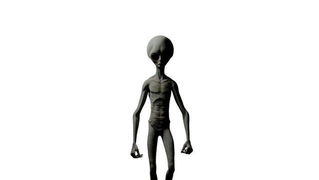 Grey alien standing against dark cannabis foliage creates a mysterious extraterrestrial concept for science fiction, marijuana culture, surreal fantasy, paranormal themes and creative design
