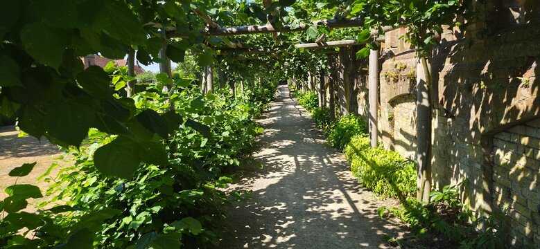 English garden, flower bed in hot summer day. 