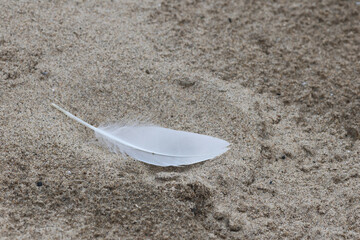 white feather on sand © Christine Donnelly