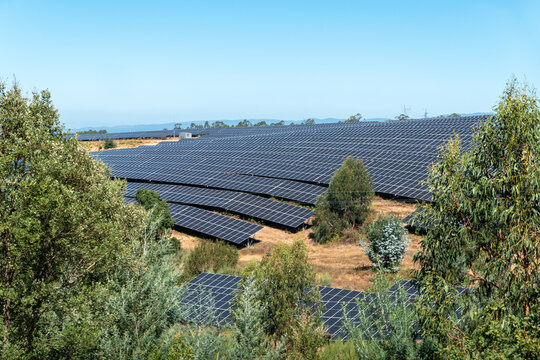 Parque de pain&eacute;is solares fotovoltaicos instalado numa zona rural em meio a vegeta&ccedil;&atilde;o sob um c&eacute;u limpo